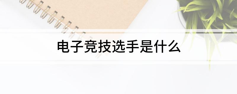 電子競技選手是什么