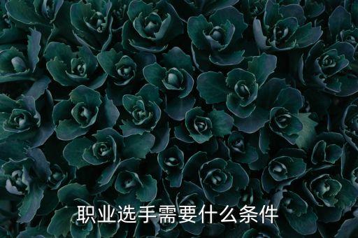 成為電競職業(yè)選手的要求和標(biāo)準(zhǔn)如何成為一名職業(yè)電競選手？(圖2)