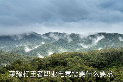 成為電競(jìng)職業(yè)選手的要求和標(biāo)準(zhǔn)如何成為一名職業(yè)電競(jìng)選手？