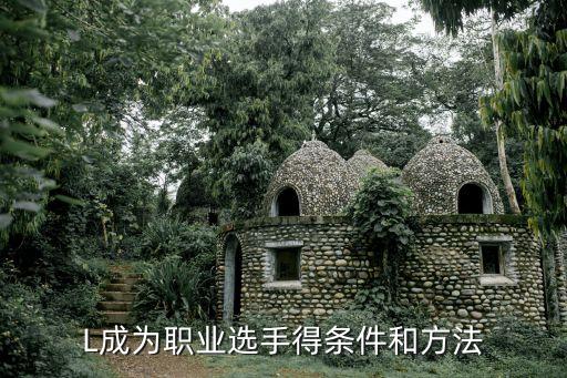 成為電競職業(yè)選手的要求和標(biāo)準(zhǔn)如何成為一名職業(yè)電競選手？(圖3)