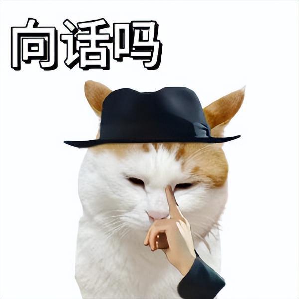 賠光11萬美元皮膚！電競選手把粉絲當提款機拖延兩年終爆雷(圖7)