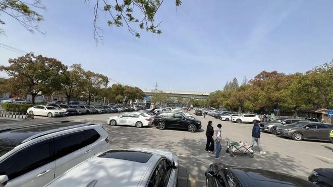 清明假期共青森林公園迎大客流！楊浦警方提醒→(圖4)