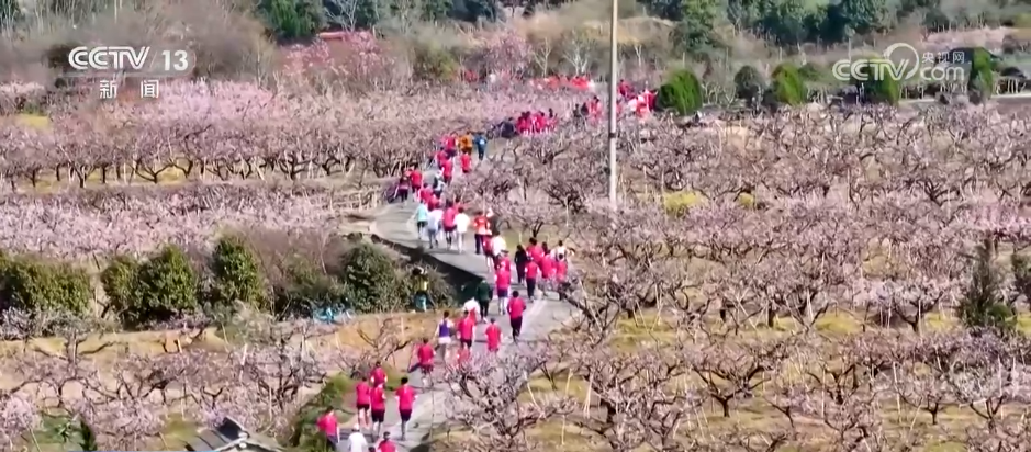 “賽事+文旅”火爆春日 各地賽事“流量”加速轉(zhuǎn)化為經(jīng)濟(jì)“增量”(圖3)